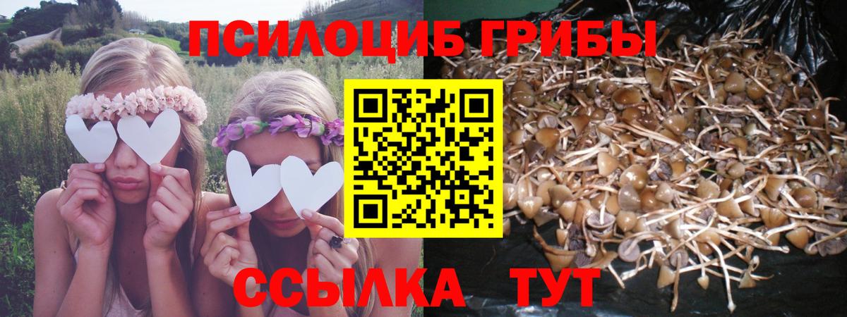 Галлюциногенные грибы прущие грибы Стерлитамак