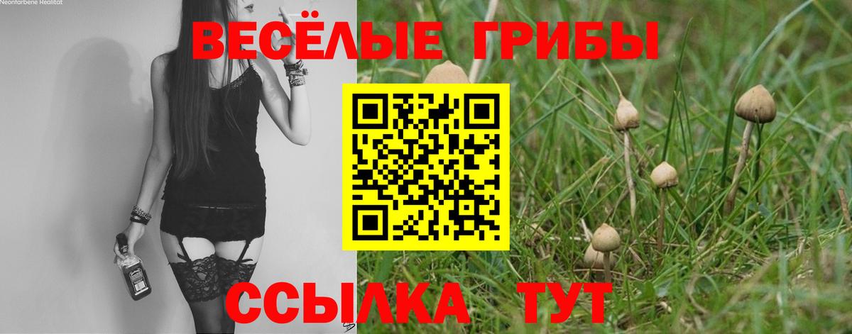 Псилоцибиновые грибы Magic Shrooms  Галлюциногенные грибы Cubensis  Вход с VPN  Стерлитамак 